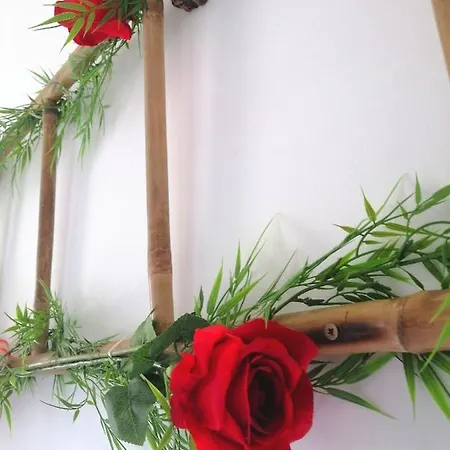 Le 1965 Double Balneo, Confort Et Romantique Appartamento